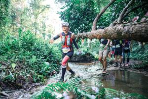 BIB: 
                            <button type="button" onclick="openModal(25444132)" class="btn btn-primary btn-sm float-right btn-popup" data-toggle="modal" data-target=".modal-high-quality">
                        <i class="fas fa-shopping-cart"></i> Add to Cart
                    </button>
                                            <button type="button" onclick="isThisMe(25444132, true)" class="btn btn-success btn-sm float-right btn-popup btn-isme hidden" data-toggle="tooltip" data-placement="bottom" title="นี่คือรูปของคุณใช่ไหม คลิกที่นี่เพื่อเอาเข้าอัลบั้ม">
                        <i class="fas fa-plus"></i> Add to album
                    </button>
                    <button type="button" onclick="isThisMe(25444132, false)" class="btn btn-warning btn-sm float-right btn-popup btn-isnotme hidden">
                        <i class="fas fa-ban"></i> Remove from album
                    </button>